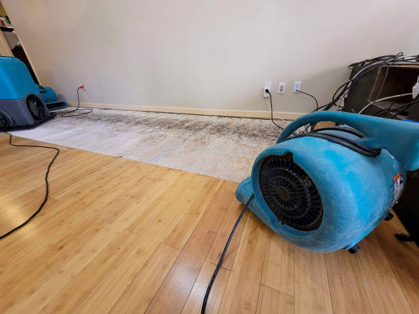 Professional Water Extraction technician working in Somerset, MD